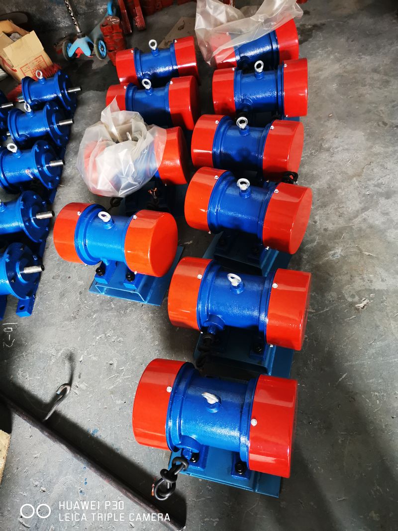 臥式振動(dòng)電機(jī)1